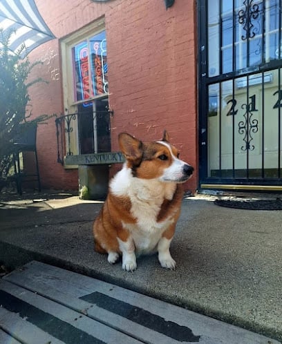 Brown and white Corgi sitting on pavement in front of brick building with storefront windows